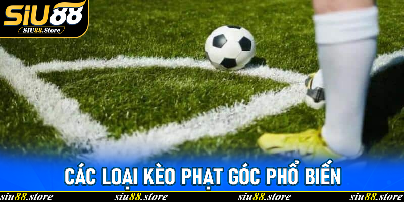 Các loại kèo phạt góc phổ biến